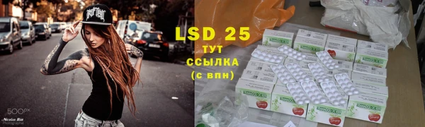 гашик Алзамай