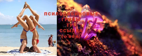 PSILOCYBIN Алексин
