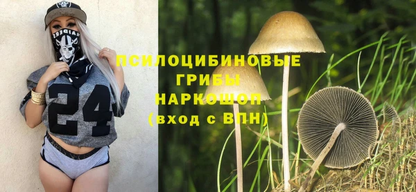 PSILOCYBIN Алексин