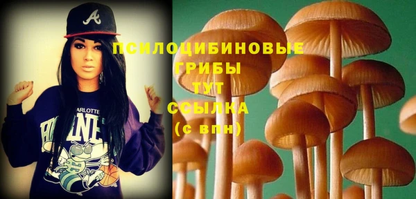 spice Алексеевка