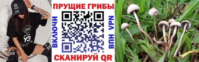 Псилоцибиновые грибы мухоморы  Елабуга 